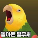깡토님 추세추종 도제식 강의 후기