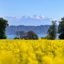 안양 경남아너스빌시티 이미지