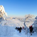 태백산 이미지