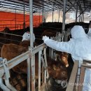 윤종석농장 이미지