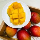 무영농장 이미지