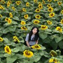 이철 농장 이미지