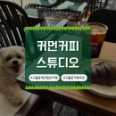커먼커피 스튜디오