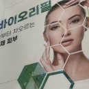 스캔앤바디 이미지