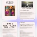 라이프 발란서 이미지