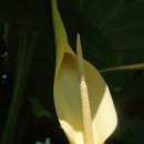 궁말농장 이미지