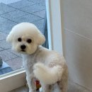 몽아뜨 네이버블로그