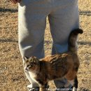 세렌디피티펜션 | [가평펜션] 시간을담는공간 - (feat.가족여행/ 내돈내산)