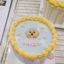 견식도락대구수성점 | 창원애견수제간식 마산펫푸드 창업은 '견식도락' 케이크테크니션 3회차 후기
