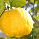 연세피부사랑의원 이미지