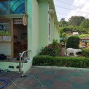 안명병설유치원 이미지