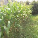 대지파크 이미지