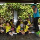 운천초교 병설유치원 이미지