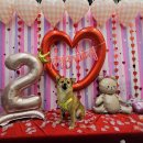 (주)바우라움 수원 캠퍼스 | [서울일상] 달님이 강아지 유치원 바우라움 후기!🐕