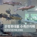 조이너스롯데은평몰 | 아쿠아가든카페 은평점 후기 | 구파발 은평롯데몰 수족관카페 이벤트∙먹이주기∙주차∙메뉴