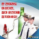 개정도로교통법(윤창호법) 이미지