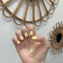 SH'beauty 네이버블로그