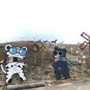 주주(ZOO ZOO) 이미지