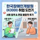 장애인지원센터 디딤돌 | 2026 신입 공채 한국장애인개발원 발달장애인지원센터 서류 합격/면접 불합격 후기