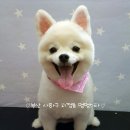 괴정3동-3 이미지