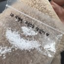 두물로 11 | [일상] 사랑으로 가득 찬 버밍쀼네 11월 .•✰.*•.﻿