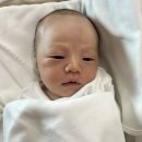 덕지 | 덕지와 첫 동거 | [Day 1 - 3] 모유수유, 24시 모자동실, 산소포화도 떨어짐, 청색증