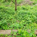 별숲 농장 이미지