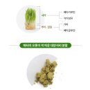 대양푸드 이미지