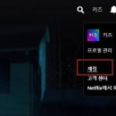 넷플릭스 카카오 검색결과