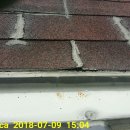 재활용장 지붕 누수 관련 실리콘 도포 작업 이미지