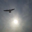 태양미용재료