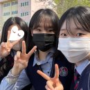 외고 | 경기외고 IB 솔직 후기(#1)