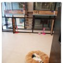 헤이독 - 김포시 김포한강8로148번길 8-20 | 헤이독
