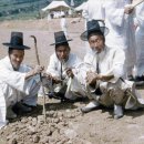 백의민족 이미지