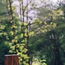 노일강 캠핑장 이미지