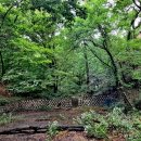 백운동천 이미지