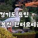 용인 양지 맛집 태봉산 한터오리골 생오리구이 1kg 먹고 온 후기
