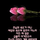 샬롬