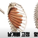 서리풀PT 이미지
