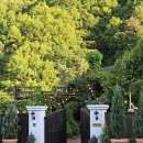 리베볼(liebevoll) | 성주 카페 : 리베볼 Liebevoll, 대구 근교 카페 • 아트가든 뮤지엄