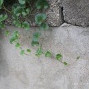 칠포항펜션 이미지