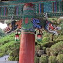 경일장
