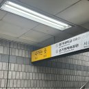 봉래초등학교 | (서울/중구) 손기정체육공원 트랙 러닝 후기, 가는 방법