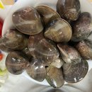 아구찜 대신 제철 쭈꾸미로! 실패 없는 해물찜레시피