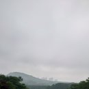 라데나 골프클럽 이미지