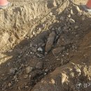 포천초교 이미지