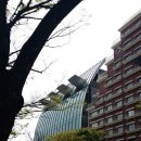 골드짐휘트니스