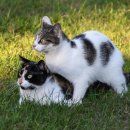 그랜드주유소 이미지