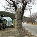 운봉 이미지
