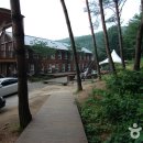 국립청태산자연휴양림 이미지